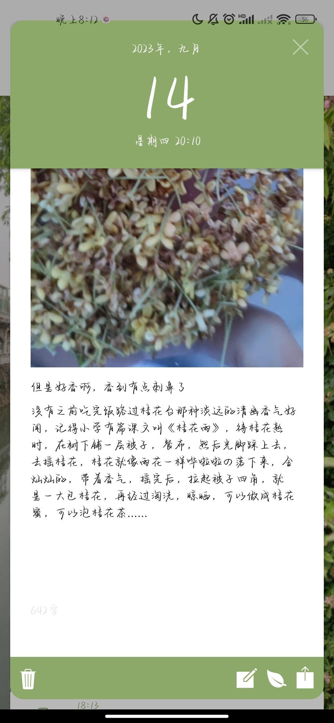 一万字纪录 2