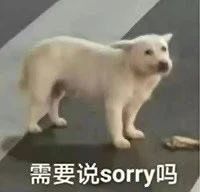 太多广告了 1