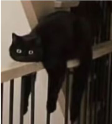 有没有来唠唠嗑，聊聊新赛季这个技能树的