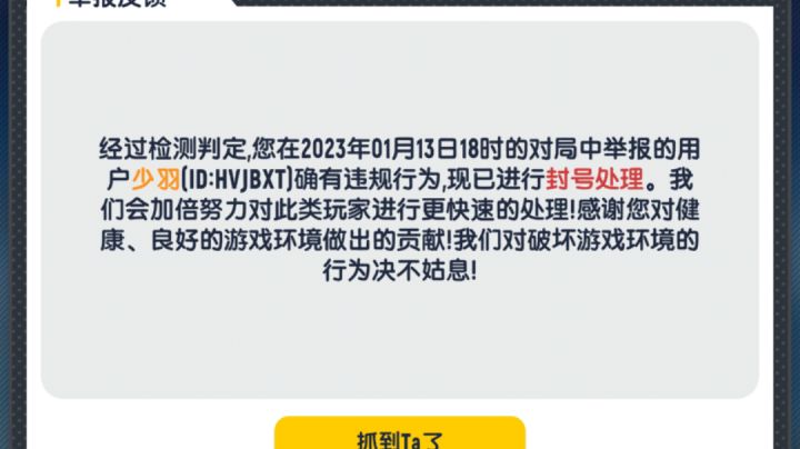 这个游戏官方不错 玩这么久游戏第一次举报开挂成功了截图