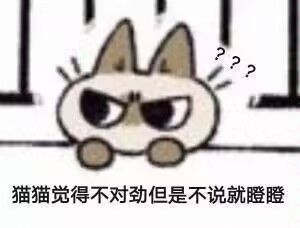 造价40万的超好用拳魔经络电宝