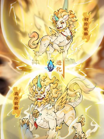 【宠物介绍】承愿之默 ：貔貅⚡