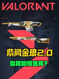 紫金套2.0即将上线