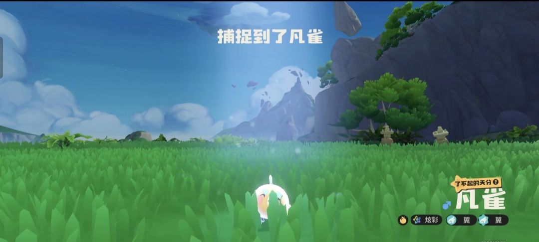 可爱小凡雀 1