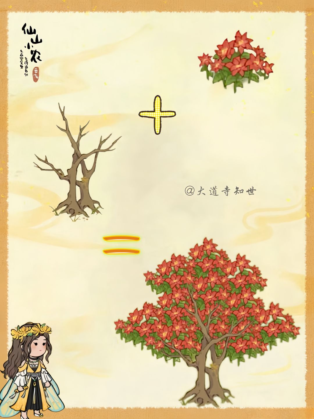 给秃树植发 3