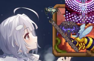 泰拉萌新今天能打4个波斯！