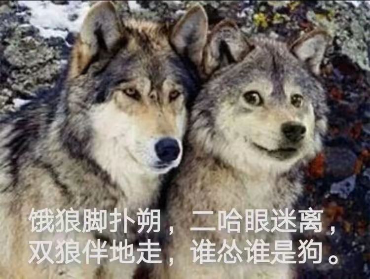 有没有一起玩的 2