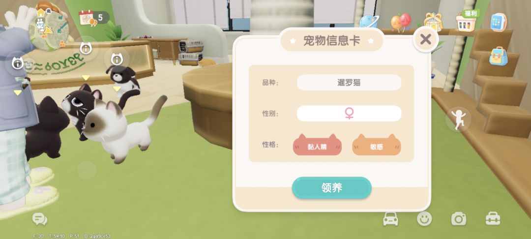 养到暹罗咯! 2