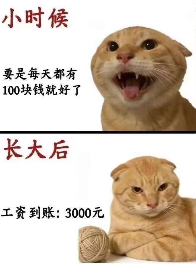 萌新阵容配装求助 1