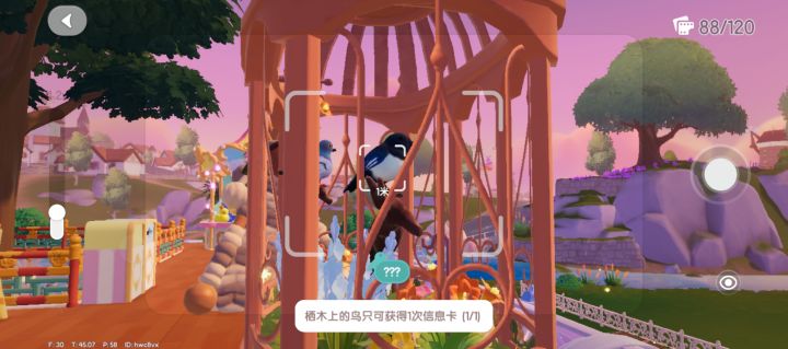 第一次发现还有未知鸟类截图