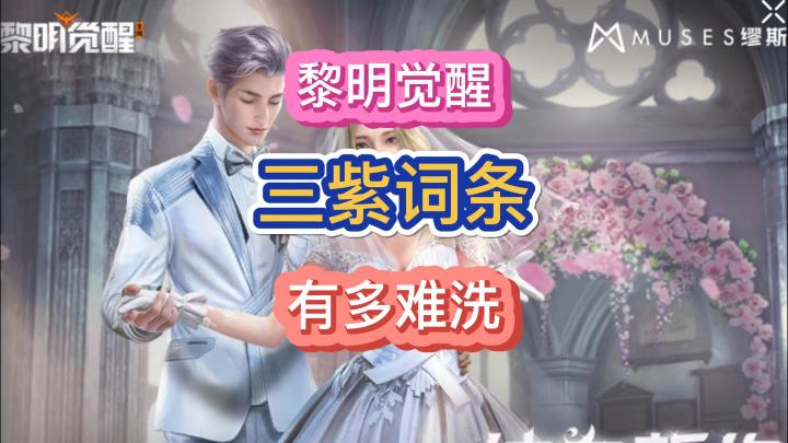 黎明觉醒生机氪金大佬圆梦三紫截图