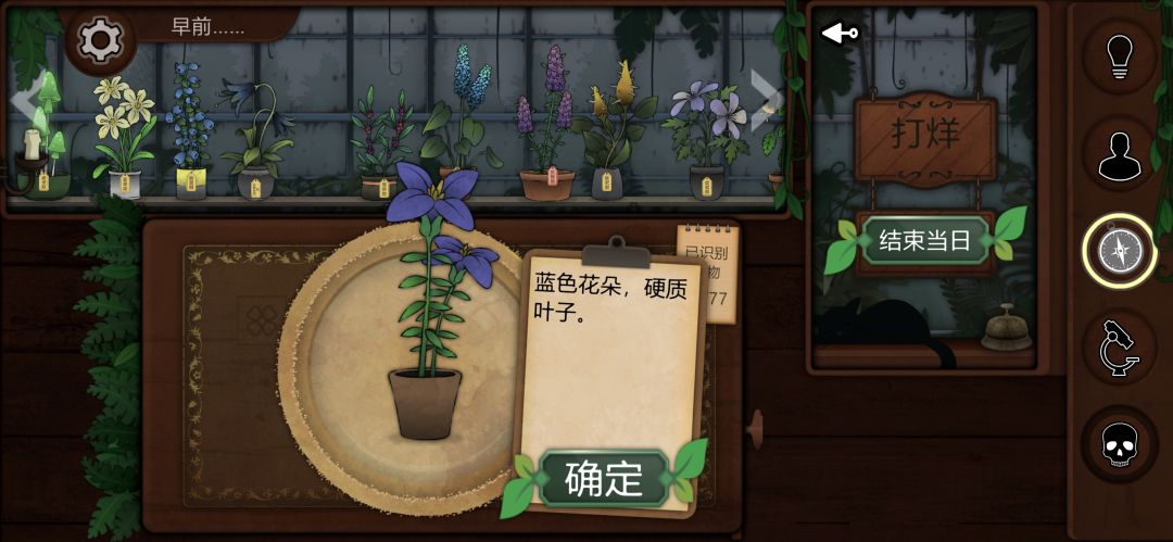 记录一些个人比较喜欢或觉得有意思的植物 5