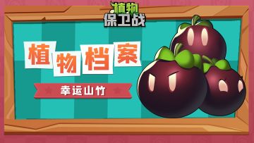 「植物档案」幸运山竹