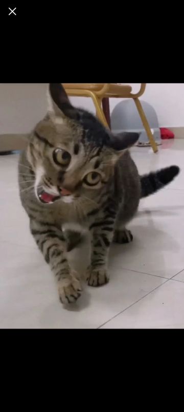 小农还没改的缺点