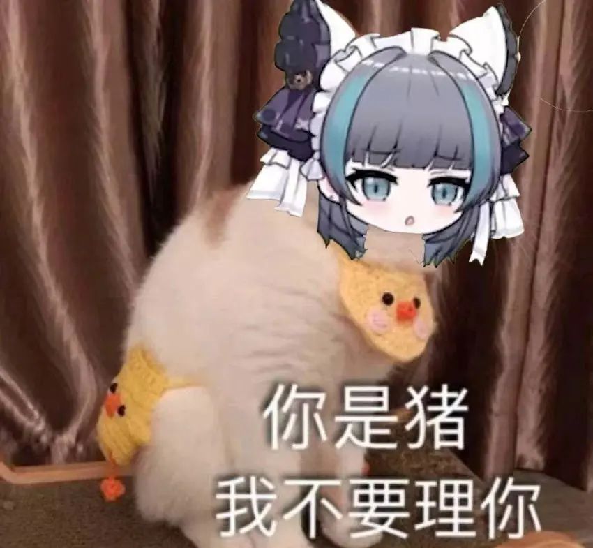 🌟柴郡猫猫(碧蓝航线)表情包分享第九期🌟 1