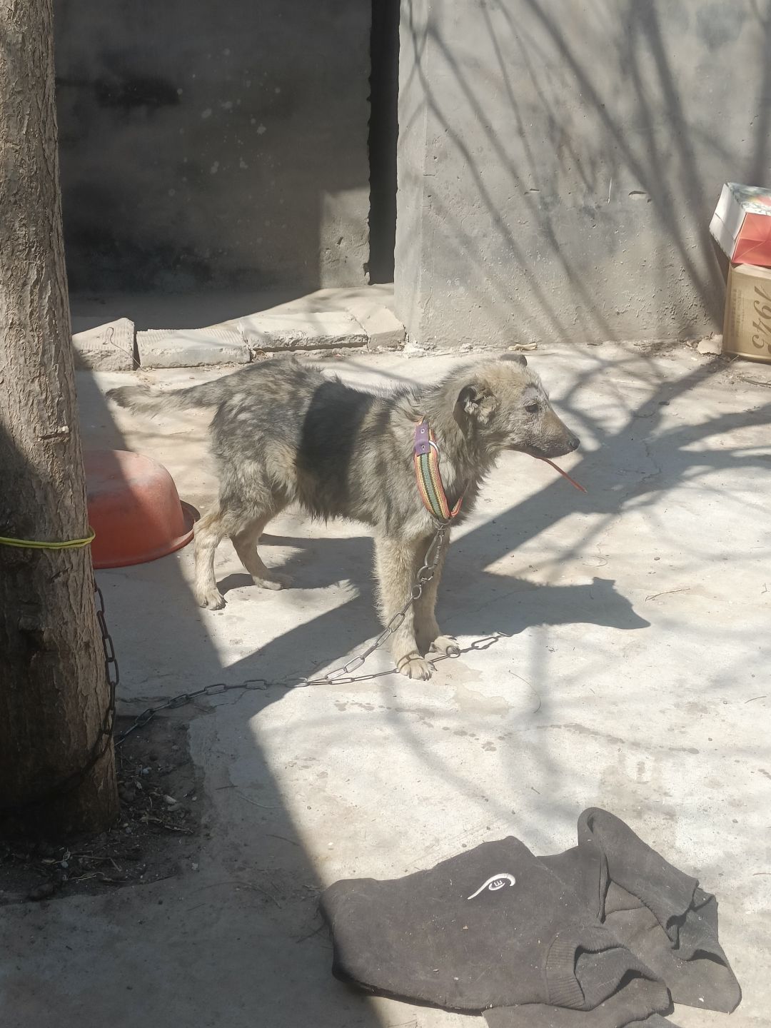 动态图片 17