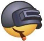 会玩了吗 2