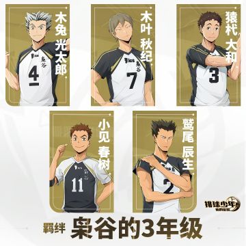 羁绊介绍 | 小见春树（Li）