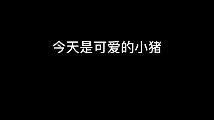 今天是可爱的小猪截图