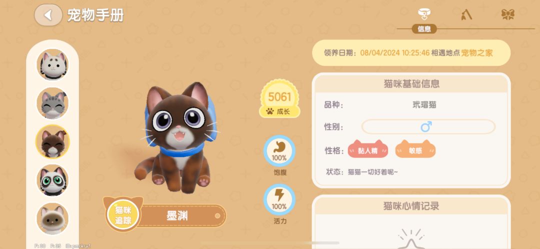 大团圆 5