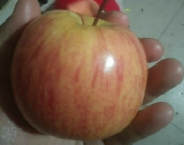 分享游戏同款美食 2