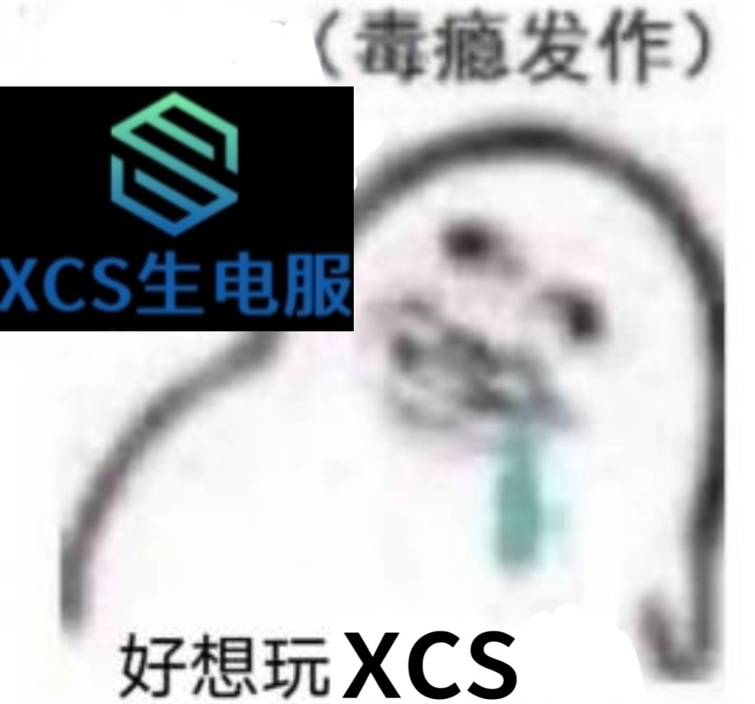xcs休闲服招人 1