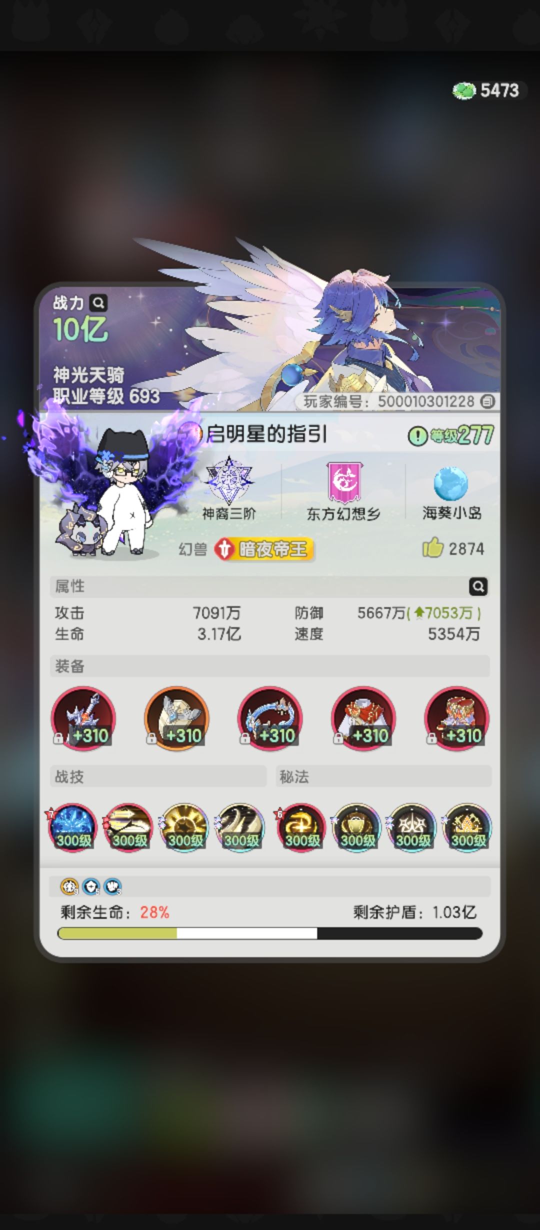 骑士八转 15.9亿地图,越5.9亿 技能推荐 2