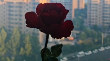 个人的一些小建议《不好勿喷社恐》