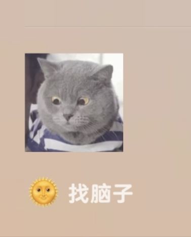 开局少几百抽截图