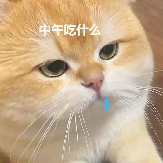 无聊了截图