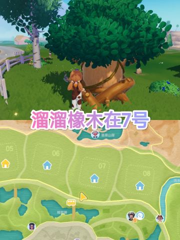 11月11日溜溜橡木、无暇萤石位置