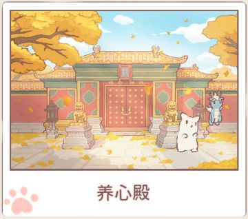 我对猫汤的一些建议以及看法