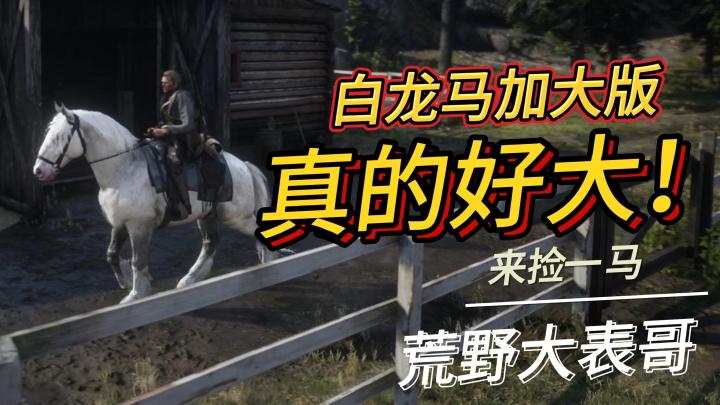 就出个门溜达，白捡一马《荒野大镖客2》截图