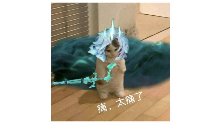 蓝盾的元气骑士一群寄了截图