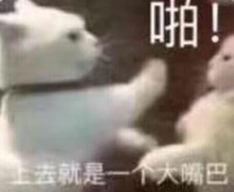 老骨头找个搭子谢谢截图