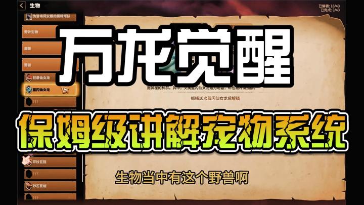 万龙觉醒，保姆级讲解宠物系统截图