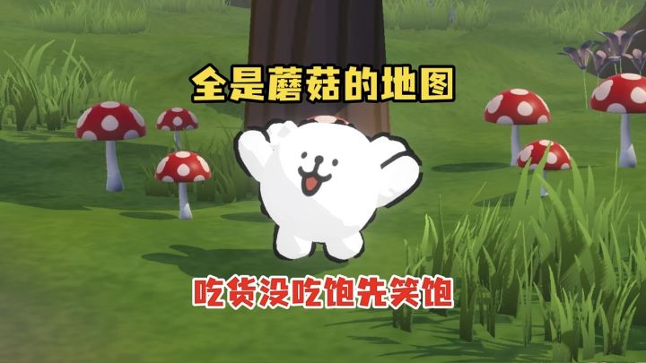 吃货慎入!蘑菇奇葩图鉴截图