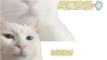 闪爆流，与闪避绝技流的玩法