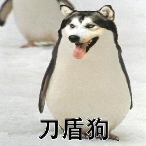 动态图片 12