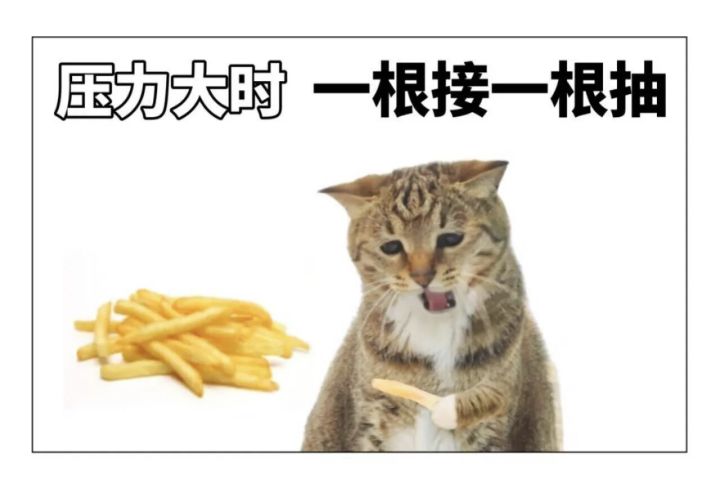 懒得开新号,第三天转术士可以吗截图
