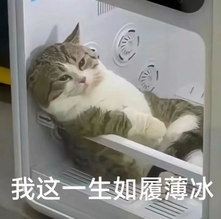 互助截图