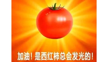 超级萌新双剑教学