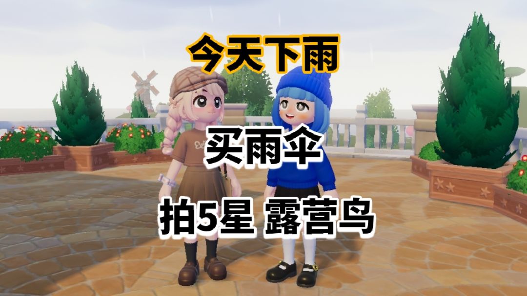 【心动小镇】今天下雨 买雨伞 拍5星露营鸟 1