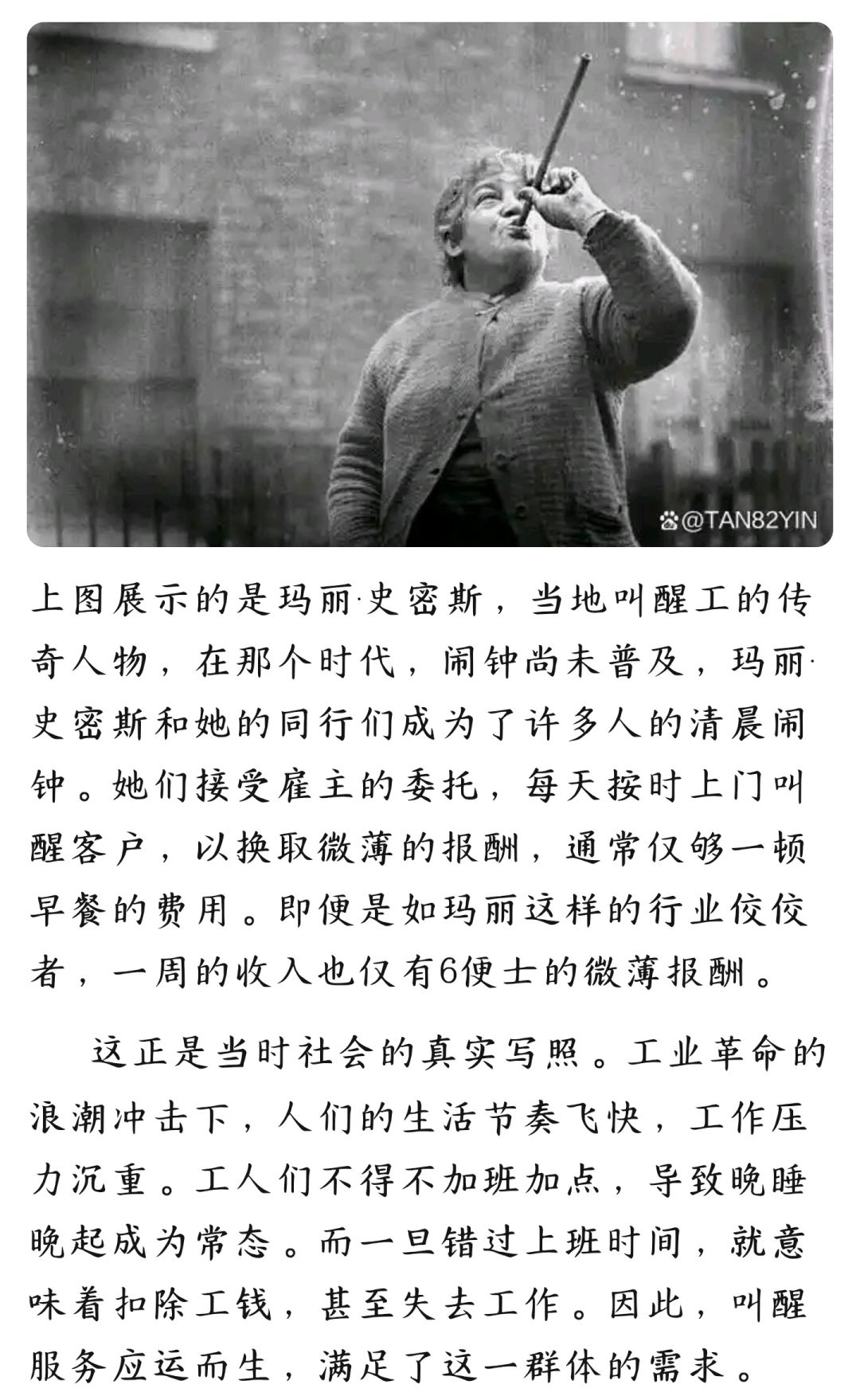 你真的了解纸信圈儿的职业吗? 2