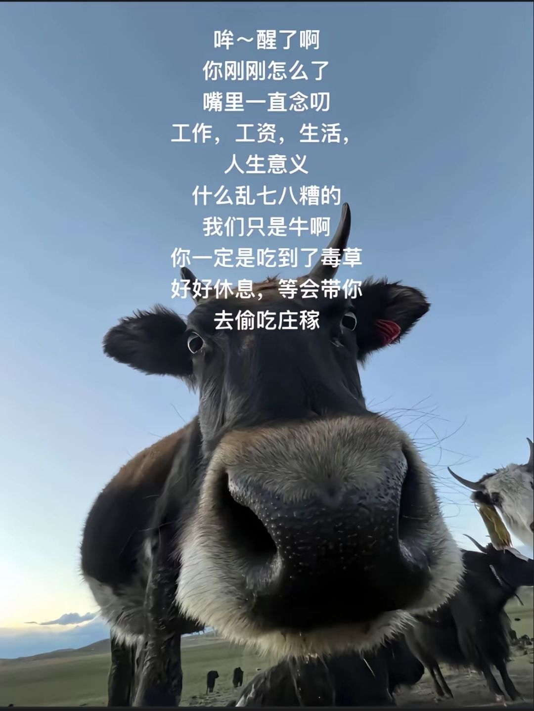 感觉比上班累 1