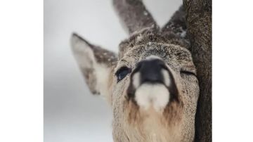 强化，宝石和专精，一次把消耗数据说清楚（申精）