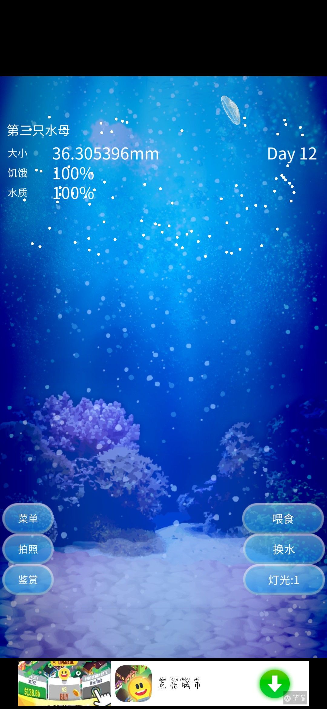 第三只,12天 1