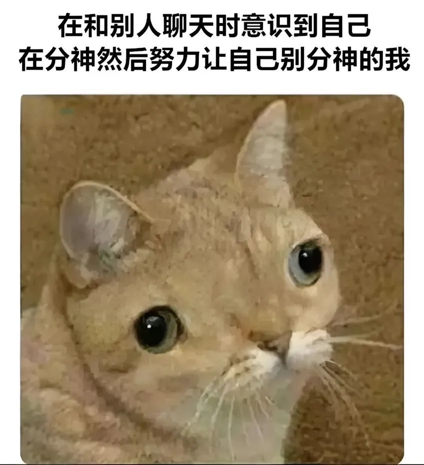 ✨今日份梗图分享第四十四期✨ 2
