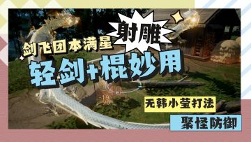 聚怪减伤+暴力输出！轻剑的最终归宿？