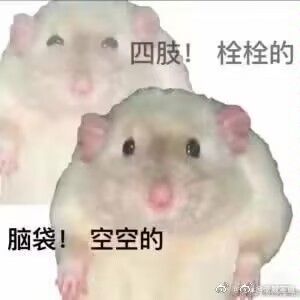 是谁不小心把奎解雇了啊? 1